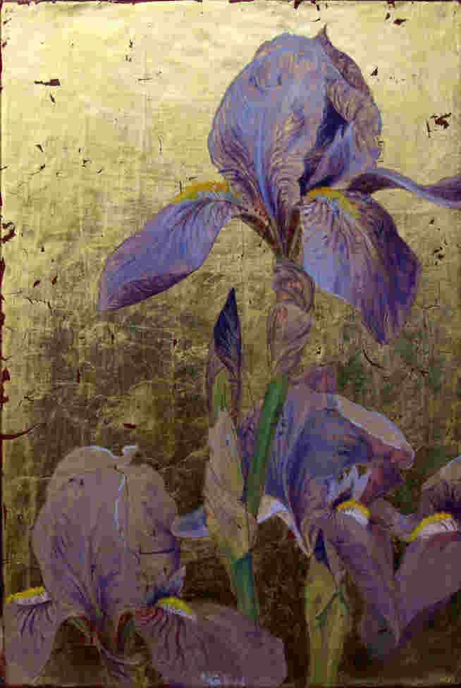 Iris